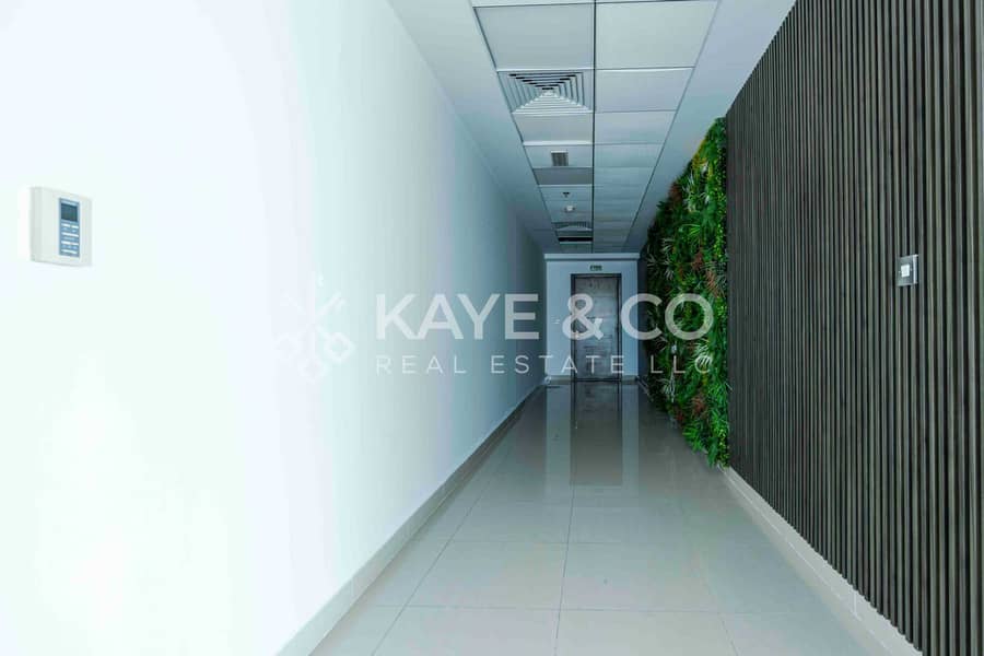 4 629A0217. jpg