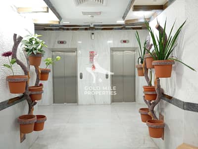 Office for Rent in Al Barsha, Dubai - IMG-20241112-WA0124. jpg Office for Rent in Al Barsha, Dubai - IMG-20241112-WA0124. jpg