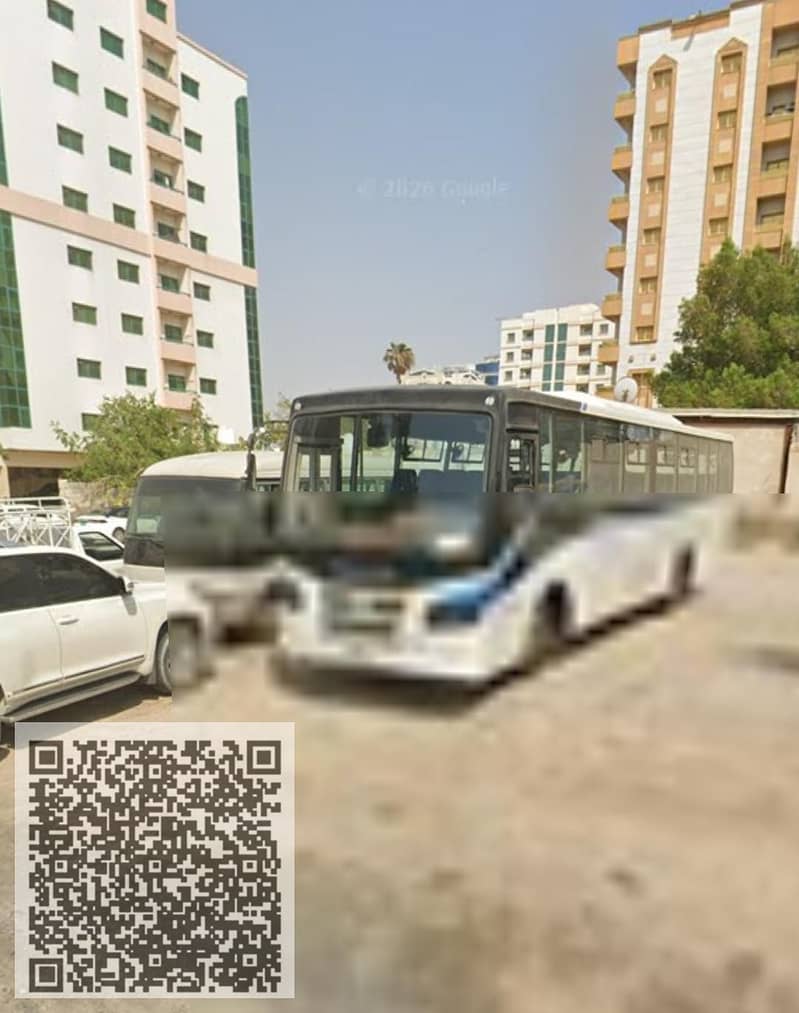 3 1000297073. jpg