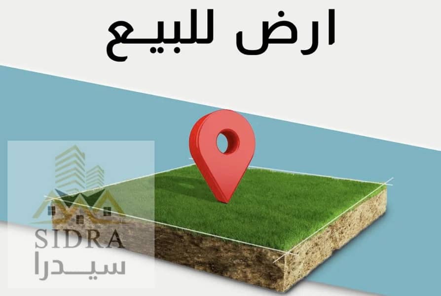 2 1001839577. webp