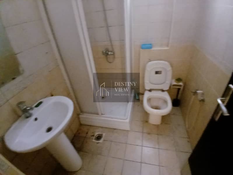 13 62781. jpg