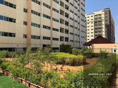 1 Bedroom Flat for Rent in Al Rashidiya, Ajman - WhatsApp Image 2026-06-14 at 10.47. 36 AM. jpeg 1 Bedroom Flat for Rent in Al Rashidiya, Ajman - WhatsApp Image 2026-06-14 at 10.47. 36 AM. jpeg