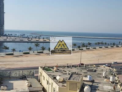 1 Bedroom Apartment for Rent in Liwara 1, Ajman - WhatsApp Image 2026-06-14 at 4.56. 21 PM. jpeg 1 Bedroom Apartment for Rent in Liwara 1, Ajman - WhatsApp Image 2026-06-14 at 4.56. 21 PM. jpeg