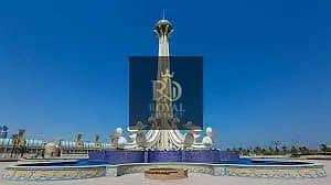 14 IMG_1924. webp