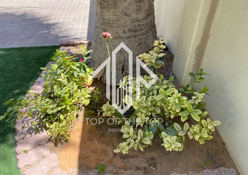 11 image_10