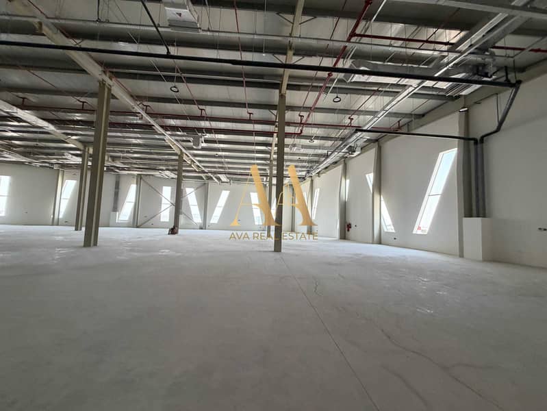 9 IMG_1194. jpeg