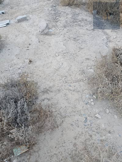 Plot for Sale in Al Manama, Ajman - 66. jpeg Plot for Sale in Al Manama, Ajman - 66. jpeg