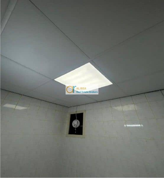 7 Picture4. jpg