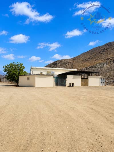 Warehouse zum zum Verkauf in Al Hayl, Fujairah - الصورة الرئسيه. png Warehouse zum zum Verkauf in Al Hayl, Fujairah - الصورة الرئسيه. png