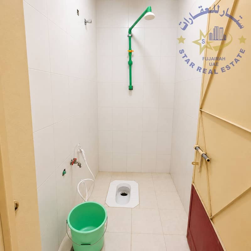 15 الحمام. png