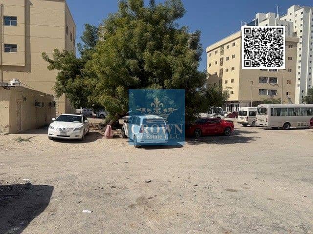 11 11. jpg