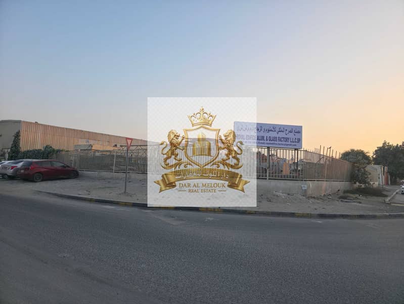 4 1000027174. jpg