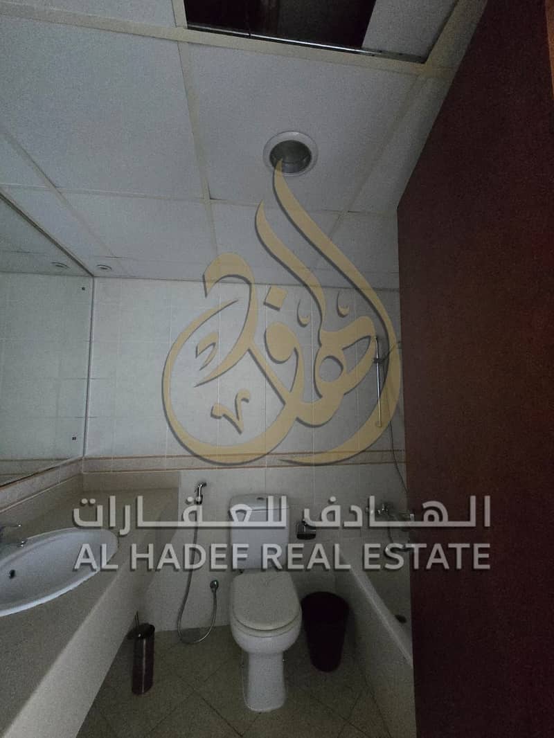 14 بيليب. jpeg