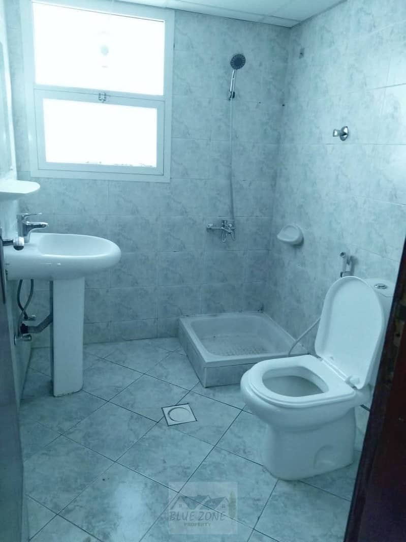 8 1000230451. jpg