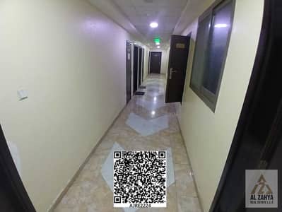 2 Schlafzimmer Wohnung zum zur Miete in Emirates City, Ajman - WhatsApp Image 2026-06-18 at 15.03. 39. jpeg 2 Schlafzimmer Wohnung zum zur Miete in Emirates City, Ajman - WhatsApp Image 2026-06-18 at 15.03. 39. jpeg