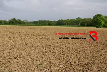 Plot for Sale in Al Iqabiyyah, Al Ain - WhatsApp Image 2026-06-18 at 5.02. 37 PM (1). jpeg Plot for Sale in Al Iqabiyyah, Al Ain - WhatsApp Image 2026-06-18 at 5.02. 37 PM (1). jpeg