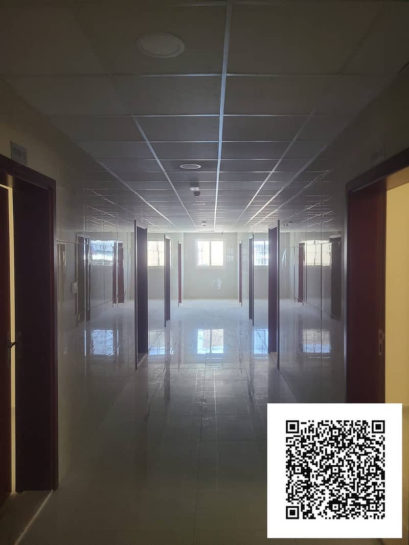 4 1 (13). jpeg