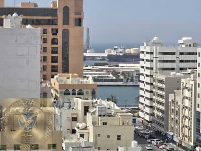 فلیٹ 1 غرفة نوم للايجار في منطقة الرولة، الشارقة - WhatsApp Image 2026-03-10 at 3.13. 19 AM. jpeg فلیٹ 1 غرفة نوم للايجار في منطقة الرولة، الشارقة - WhatsApp Image 2026-03-10 at 3.13. 19 AM. jpeg