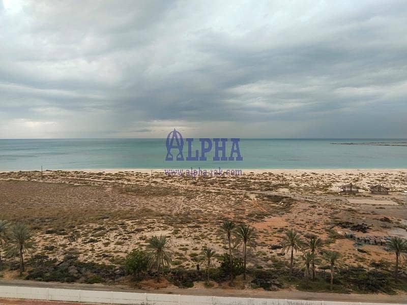 شقة في رويال بريز4،رويال بريز،قرية الحمراء 27000 درهم - 15537428 شقة في رويال بريز4،رويال بريز،قرية الحمراء 27000 درهم - 15537428