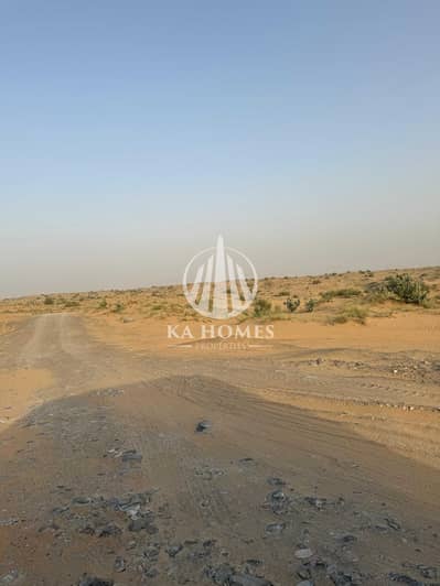 ارض سكنية للبيع في البليدة، الشارقة - WhatsApp Image 2026-05-06 at 6.12. 31 PM. jpeg ارض سكنية للبيع في البليدة، الشارقة - WhatsApp Image 2026-05-06 at 6.12. 31 PM. jpeg