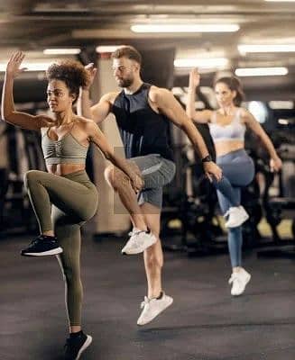 15 gym. webp