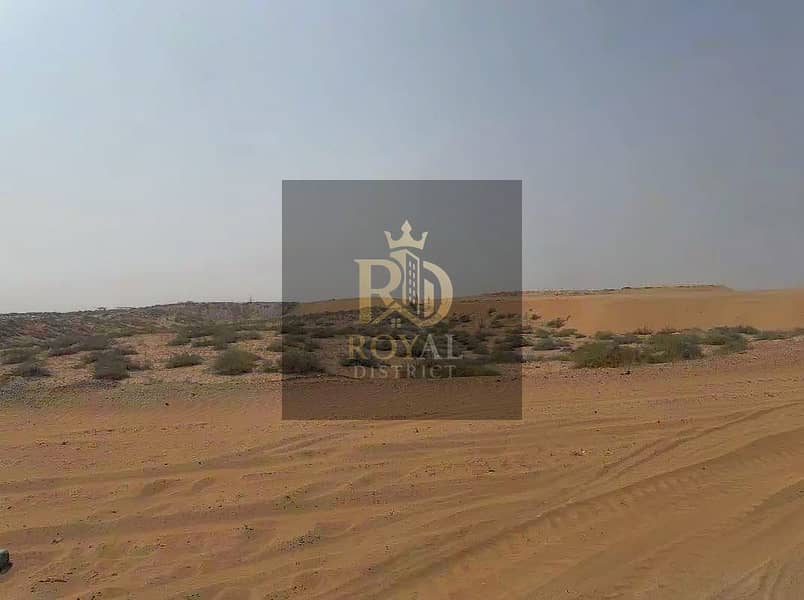 phototune. ai_1779545176. png phototune. ai_1779545176. png