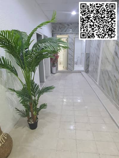 10+ Beds Villa for Rent in Liwara 1, Ajman - WhatsApp Image 2026-06-20 at 6.15. 55 AM (3). jpeg 10+ Beds Villa for Rent in Liwara 1, Ajman - WhatsApp Image 2026-06-20 at 6.15. 55 AM (3). jpeg