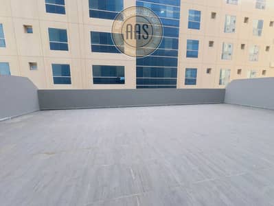شقة 1 غرفة نوم للايجار في النهدة (دبي)، دبي - IMG-20240630-WA0039. jpg شقة 1 غرفة نوم للايجار في النهدة (دبي)، دبي - IMG-20240630-WA0039. jpg