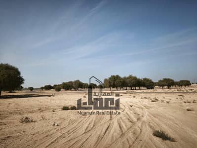 ارض سكنية  للبيع في البليدة، الشارقة - 1000805307. jpg