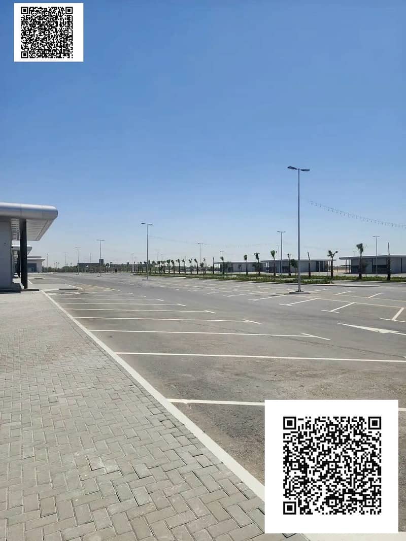 8 1000131606. jpg