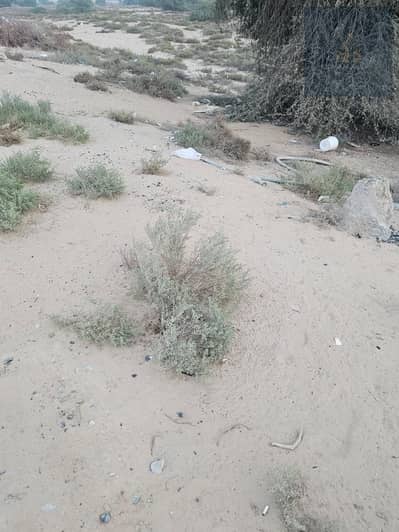 Plot for Sale in Ajman Industrial, Ajman - 12. jpeg