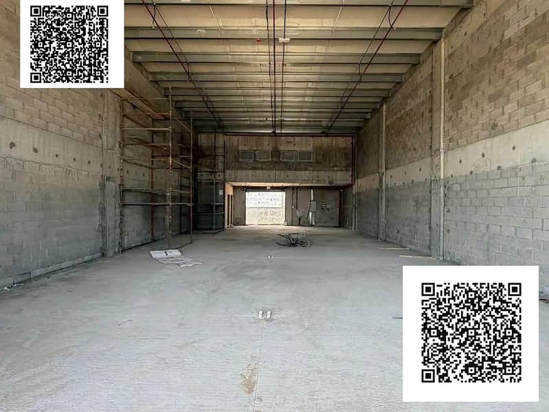 5 1000131632. jpg