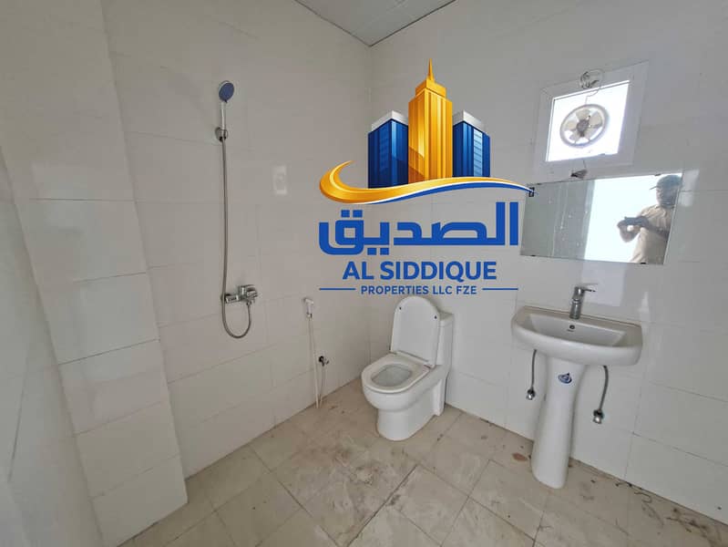 4 176945. jpg