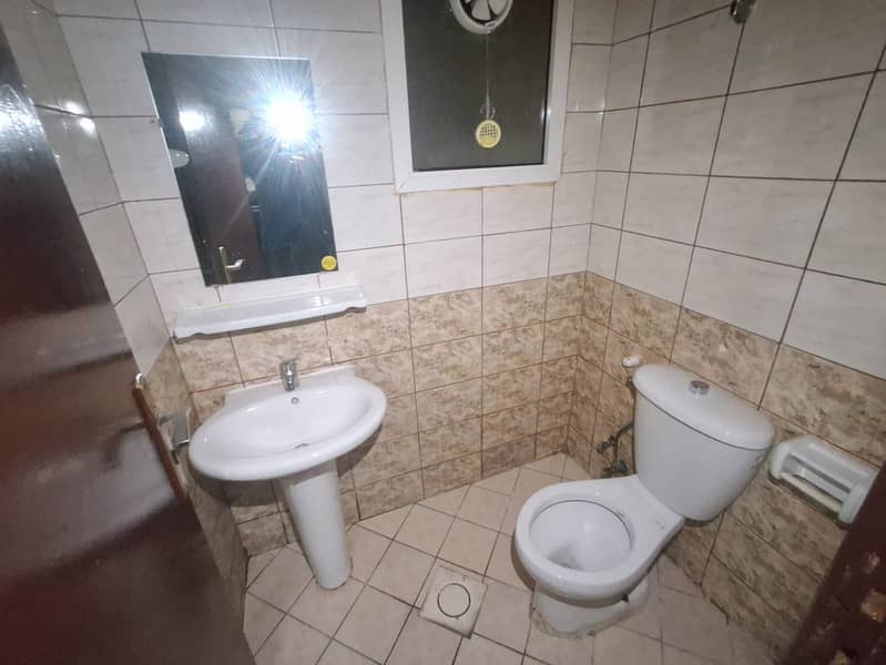 10 168937. jpg