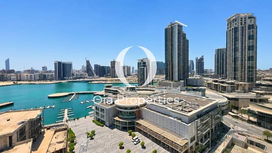 2 Bedroom Apartment for Rent in Al Reem Island, Abu Dhabi - ChatGPT Image Jun 22, 2026, 04_41_26 PM. png
