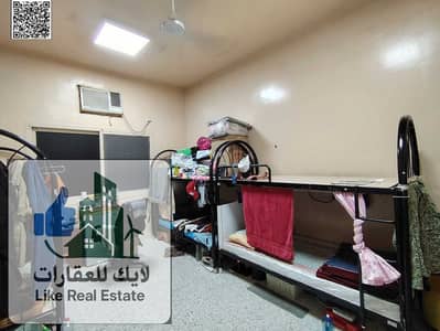 Labour Camp zum zur Miete in Ajman Industrial, Ajman - WhatsApp Image 2026-02-26 at 9.37. 21 PM (1). jpeg