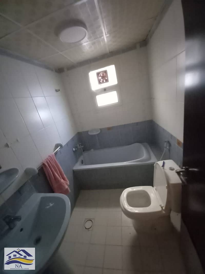 8 268364. jpg