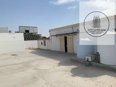 Warehouse for Rent in Umm Al Thuoob, Umm Al Quwain - WhatsApp Image 2026-06-06 at 11.56. 56 AM (1). jpeg Warehouse for Rent in Umm Al Thuoob, Umm Al Quwain - WhatsApp Image 2026-06-06 at 11.56. 56 AM (1). jpeg