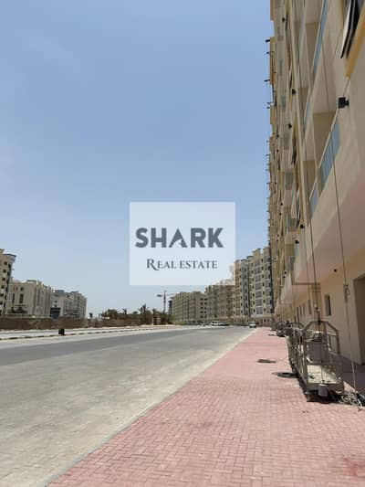 Monolocale in vendita a Al Yasmeen, Ajman - WhatsApp Image 2026-02-20 at 8.09. 21 AM (1). jpeg