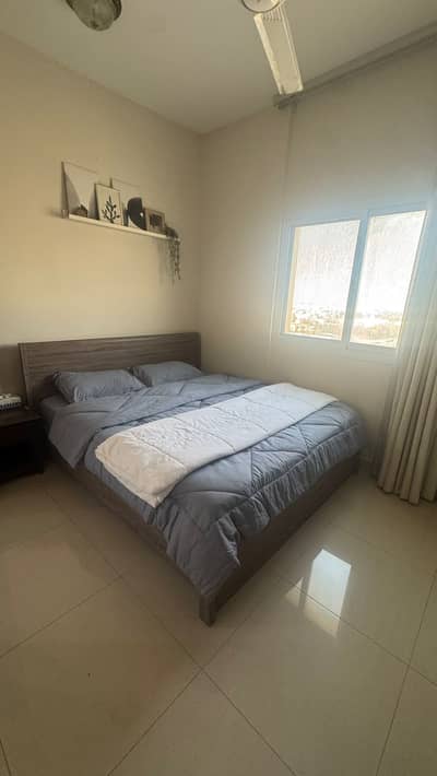 1 Schlafzimmer Wohnung zum zur Miete in Al Rawda, Ajman - WhatsApp Image 2026-06-24 at 11.11. 56 AM. jpeg