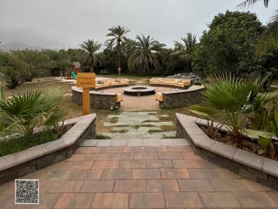 Mixed Use Land zum zum Verkauf in Town Centre, Fujairah - 66076a1d-1f6a-499d-8690-80e26d850387. jpg