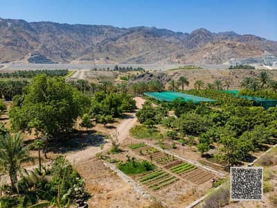 Mixed Use Land zum zum Verkauf in Town Centre, Fujairah - WhatsApp Image 2026-06-24 at 12.52. 20. jpeg