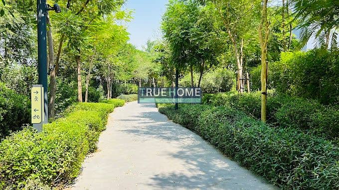 11 2024-11-05. jpg