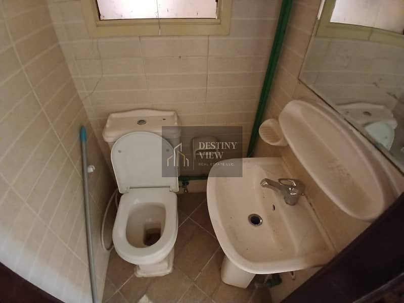 10 116334. jpg