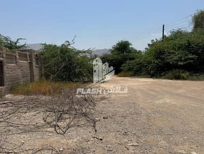 Plot in Vendita a Shamal, Ras Al Khaimah - 2. jpeg
