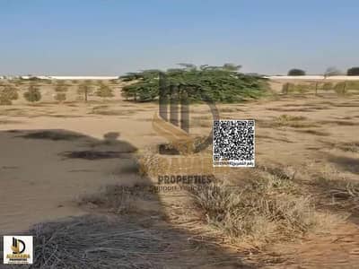 Other Commercial te Huur in Kabir, Umm Al Quwain - WhatsApp Image 2026-03-26 at 1.43. 46 AM (3). jpeg Other Commercial te Huur in Kabir, Umm Al Quwain - WhatsApp Image 2026-03-26 at 1.43. 46 AM (3). jpeg