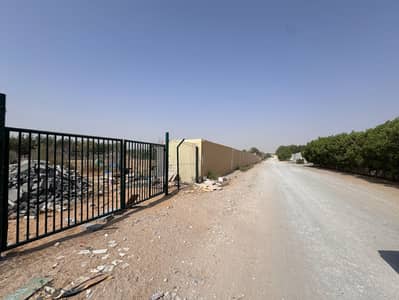 Mixed Use Land for Rent in Al Zubair, Sharjah - WhatsApp Image 2026-06-23 at 3.42. 26 PM. jpeg Mixed Use Land for Rent in Al Zubair, Sharjah - WhatsApp Image 2026-06-23 at 3.42. 26 PM. jpeg