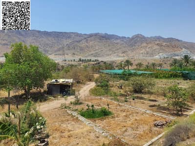 Mixed Use Land for Sale in Address Fujairah Beach Resort, Fujairah - WhatsApp Image 2026-06-23 at 3.59. 04 PM (1). jpeg