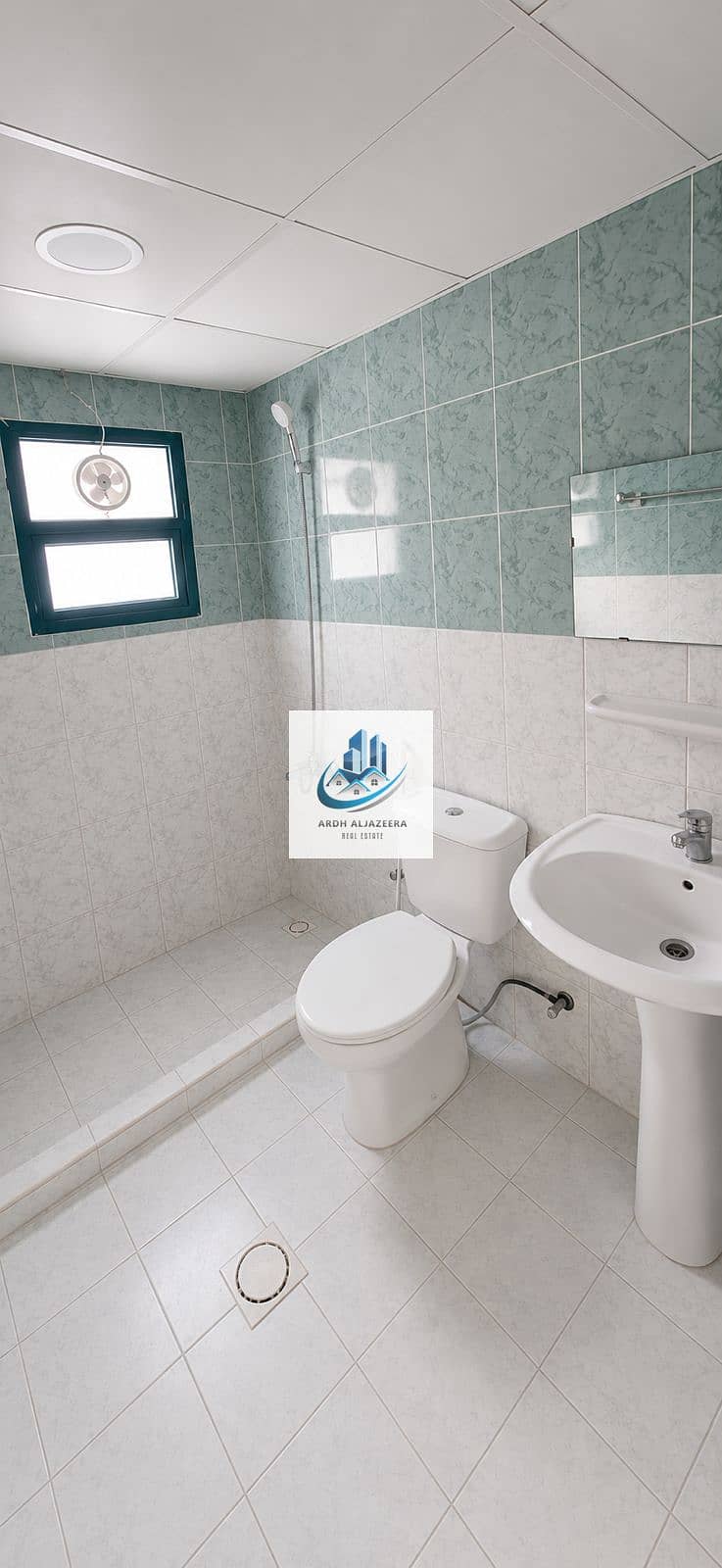 11 50279. jpg