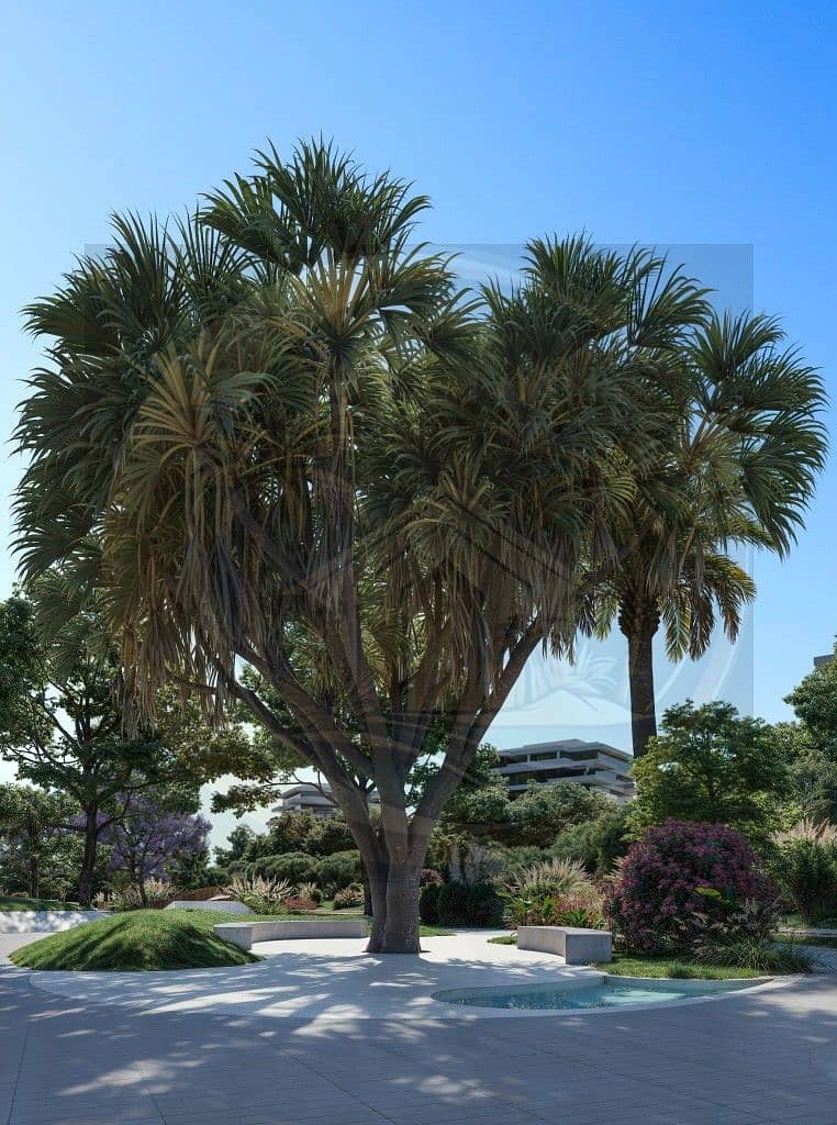 14 Landscape 02. jpg